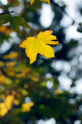 Similar image 404281