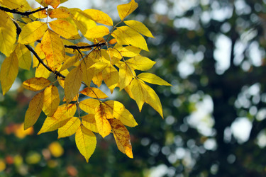 Similar image 404282