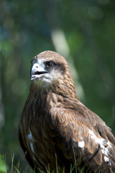 Similar image 404338