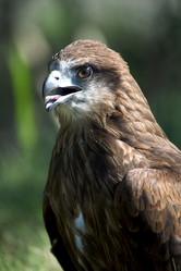 Similar image 404339