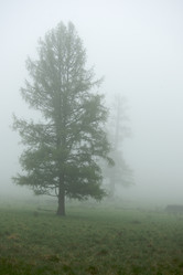 Similar image 404341