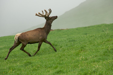 Similar image 404343