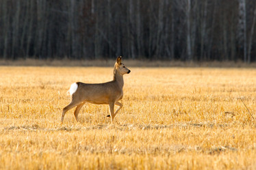 Similar image 404348