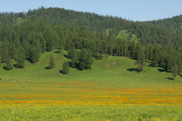 Similar image 404352