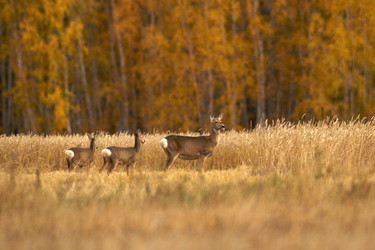 Similar image 404357