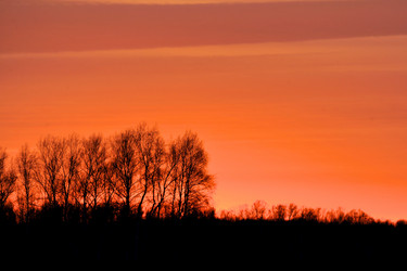 Similar image 404364