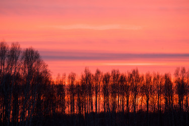 Similar image 404366