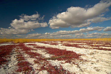 Similar image 404373