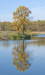 Similar image 404379