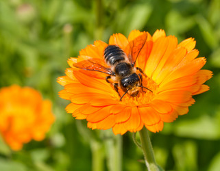 Similar image 404382