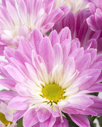 Similar image 404387