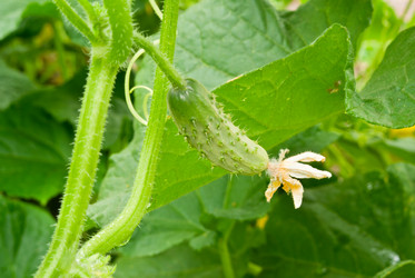 Similar image 404396