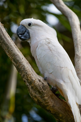 Similar image 404397