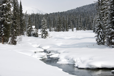 Similar image 404409