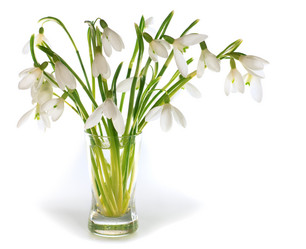 Similar image 404410