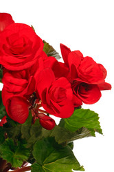 Similar image 404416