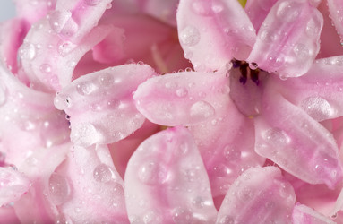 Similar image 404420