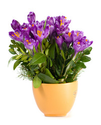 Similar image 404422