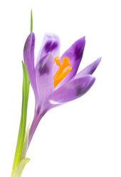 Similar image 404431