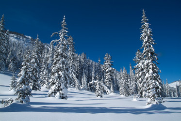 Similar image 404433