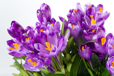 Similar image 404449