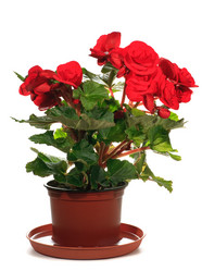 Similar image 404455