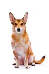 Similar image 404461