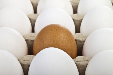 Similar image 404462