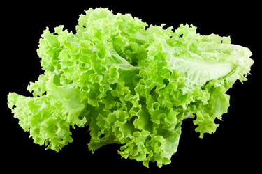 Similar image 404464