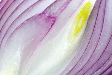 Similar image 404467