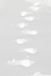 Similar image 404518