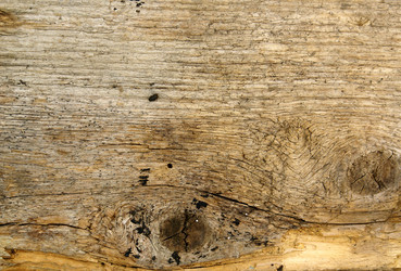 Similar image 404521