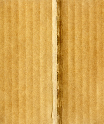 Similar image 404529