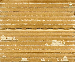 Similar image 404530