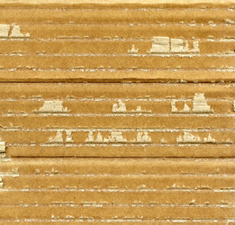 Similar image 404533