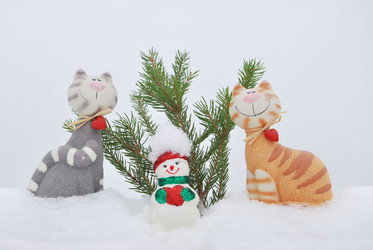 Similar image 404535