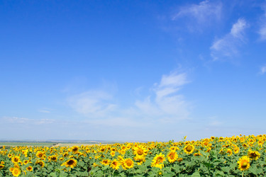 Similar image 404553