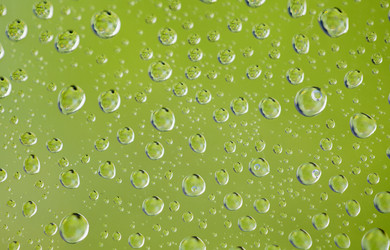 Similar image 404634