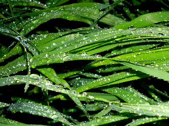 Similar image 404710