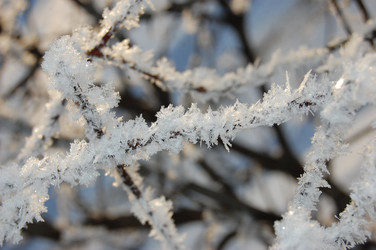 Similar image 404724