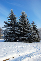 Similar image 404856