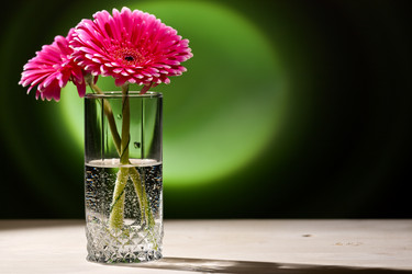 Similar image 404903