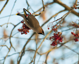 Similar image 404938