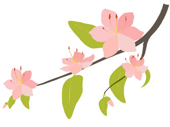 Similar image 404949