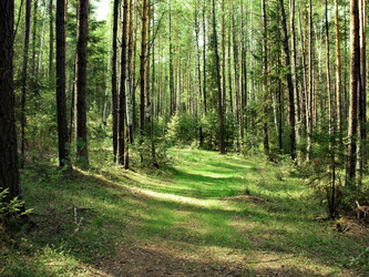 Similar image 404963