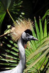 Similar image 404976