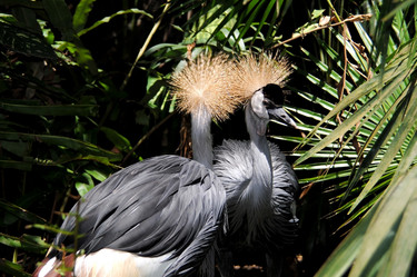 Similar image 404977