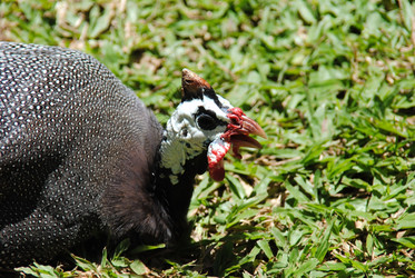 Similar image 404979