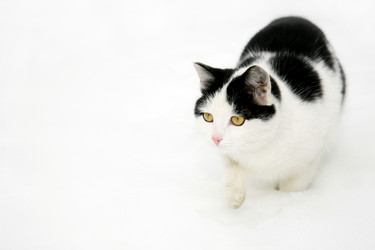 Similar image 404987