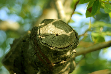 Similar image 405005